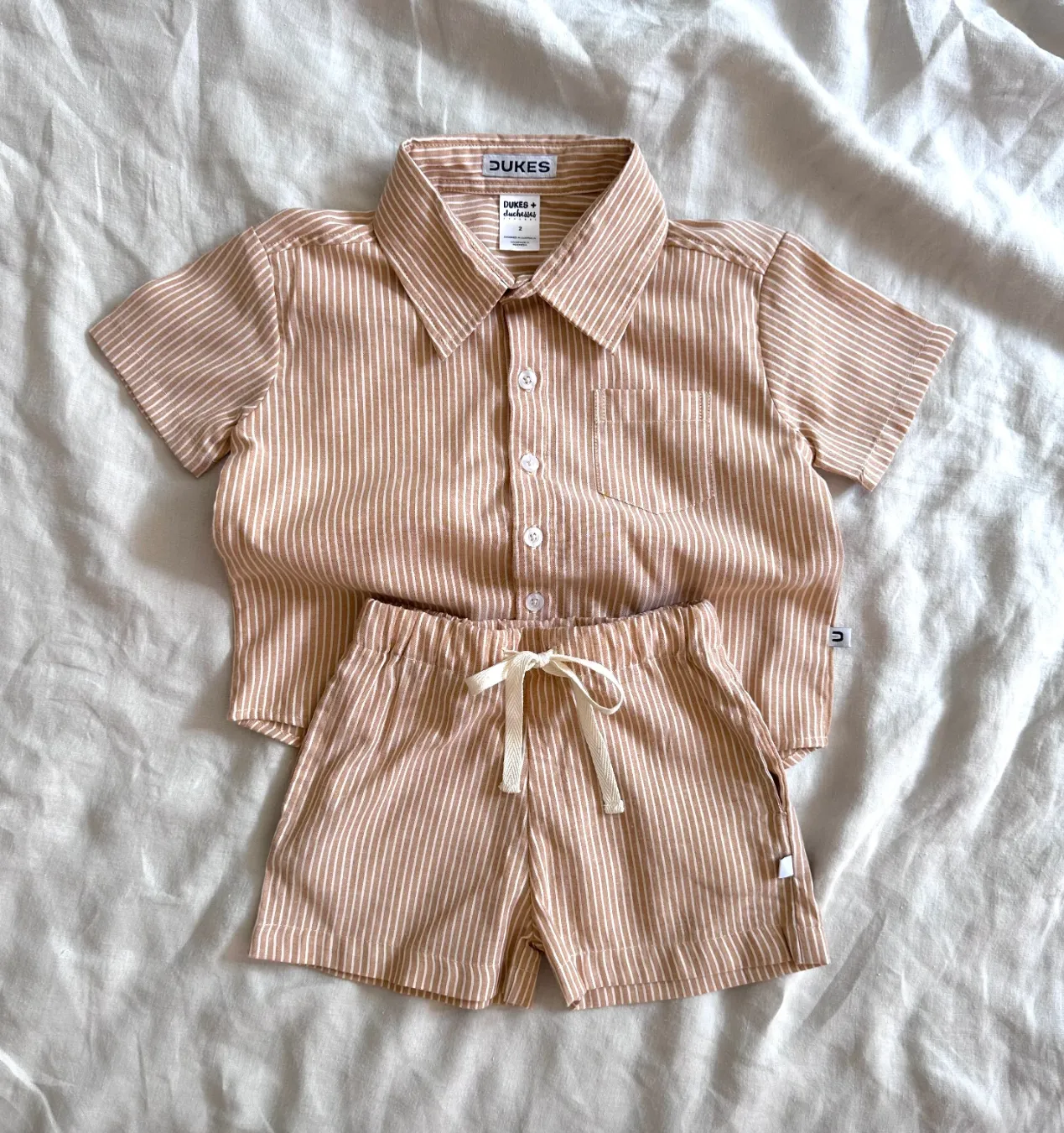 Mocha Stripe Dress Shirt