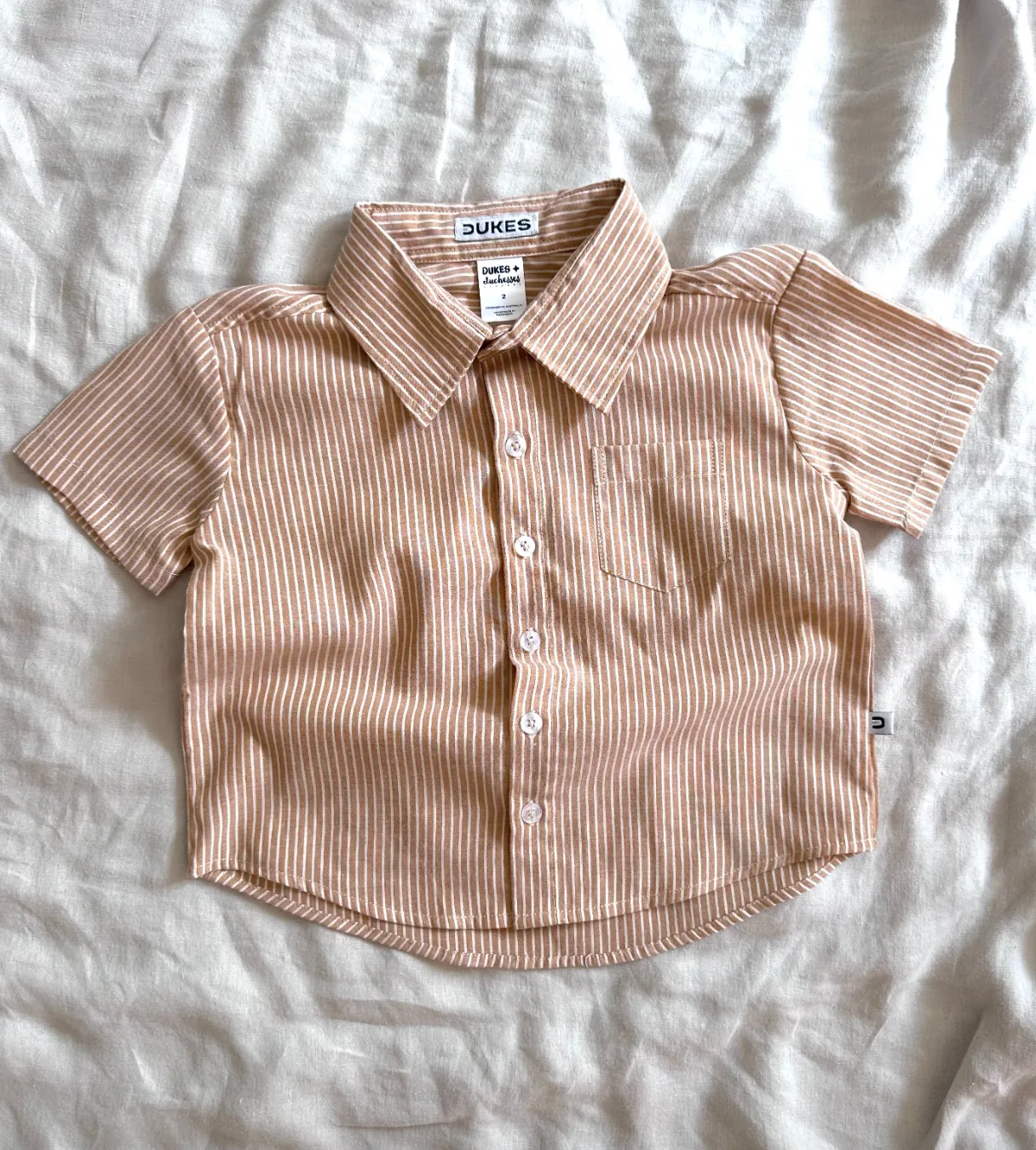 Mocha Stripe Dress Shirt